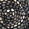seapisces